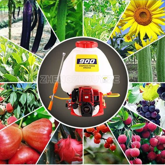 backpack gasoline sprayer (4)